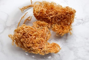 <b>Sea</b> <b>Moss</b> Irish <b>Moss</b> Wildcrafted 100% <b>Natural</b> - Product Image 6