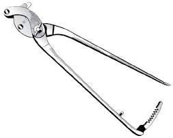 Émasculateur modifié Serra en acier inoxydable, instrument chirurgical vétérinaire pour la castration des chevaux - Product Image 4