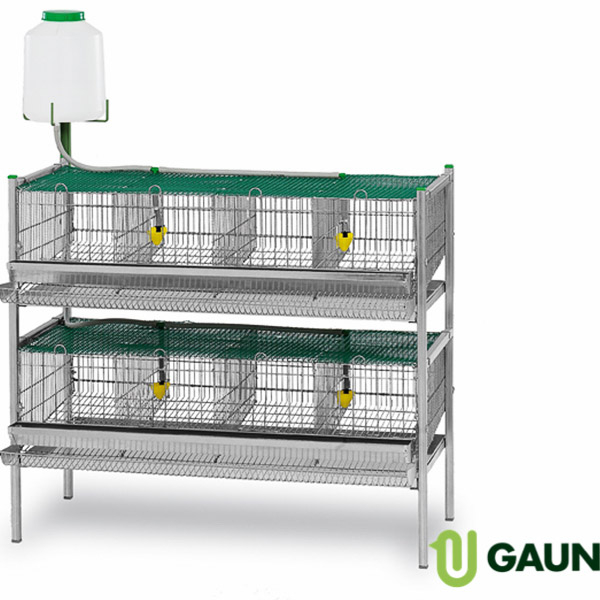 quil cage layer quails automatic