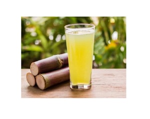 Palitos de Caña de Azúcar Frescos CONGELADOS 99 Gold Data - Product Image 4