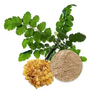 ISO Certified Top Quality Bulk Ingredients 65% Boswellic acid Boswellia serrata Extract Boswellic acids