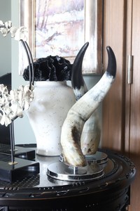 Vaisselle de maison en corne de buffle naturelle montée décorative Produit de vente à chaud en corne de taureau montée - Product Image 6