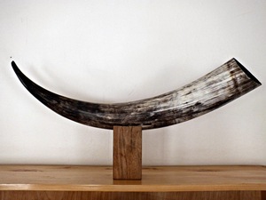 Soporte decorativo de cuerno de búhos y acero, el mejor cuerno de búhos de agua, producto natural, decoración para el hogar y en venta - Product Image 6