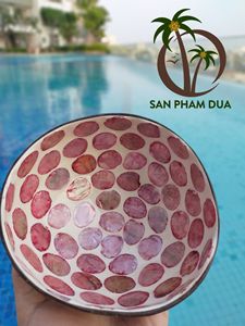 Bol en laque de noix de coco fait à la main coquille de noix de coco naturelle couleur noix de coco vraie Photo pour la décoration de la maison Vietnam - Product Image 5