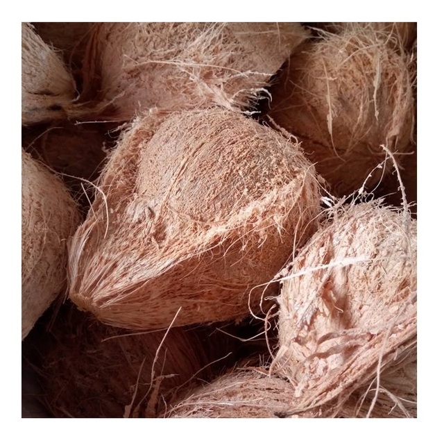 Fresh Semi Husked Coconuts Wholesale New Season Premium Quality for Export Husk De-husked Coconut