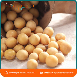 Haricots de soja biologique de haute qualité, vente en gros, fabricant professionnel - Product Image 3