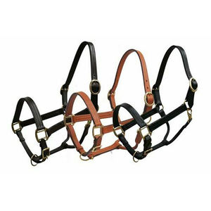 Cuir durable triple pli de licou de cheval équestre personnalisable de haute qualité avec matériel en laiton comprend un logo personnalisé pour l'équitation - Product Image 1