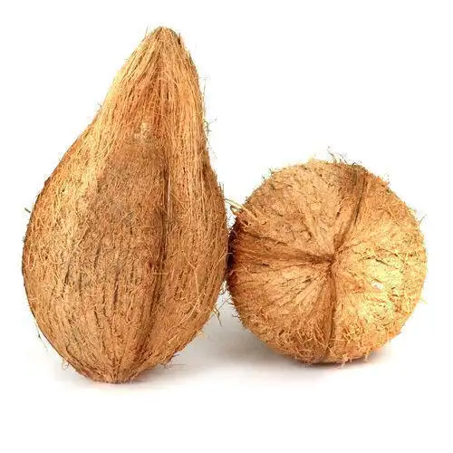 CHEAPEST SEMI HUSKED COCONUT FOR BUYER/SEMI HUSKED FROM VIETNAM // MS LAURA +84918509071