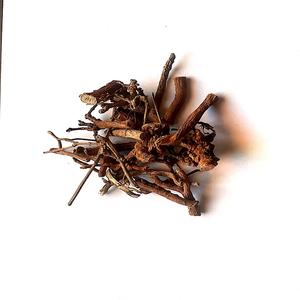 Kapas Jad - Gossypium Arboreum Root - Product Image 3