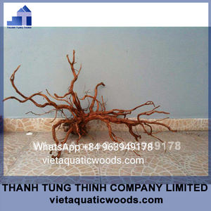Madera de Araña de Vietnam, Madera Flotante Natural para Decoración de Acuarios y Peceras - Product Image 2
