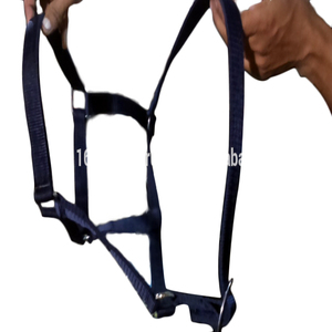 VENDRE Bling Golden LEATHER Halter pour CHEVAL SADDLERY IN;dollar 6 tailles plein cob Shetland - Product Image 5