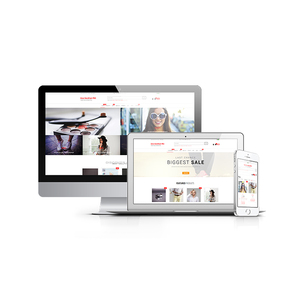 Custom plugin development Company in India | Award Winning WordPress Plugin design & Development Services by Webroot Infosoft - Product Image 6