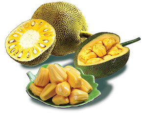 ขนุนอบแห้งพรีเมียมจากเวียดนาม - Product Image 3