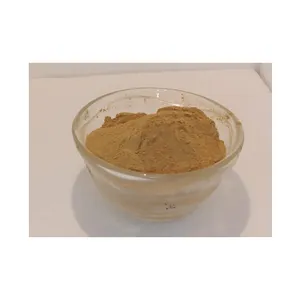Indian Wholesaler of High Quality Best Selling Pure and Natural Artichoke Powder at Wholesale Price