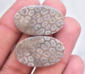 Fósil Natural de Coral, piedra semipreciosa de tamaño libre, par de gemas - Product Image 4