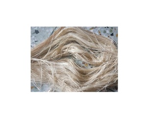 ใยกล้วย (PITA +84 797987481) - Product Image 5