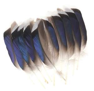 Plumas de pato de alta calidad para bádminton, pluma decorativa, MS May + 84 904183651 - Product Image 1