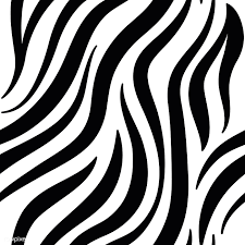 zebra design