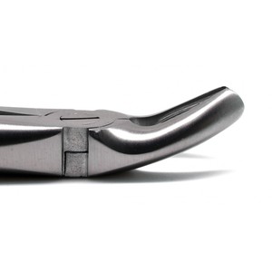 คีมถอนฟัน Mead Fig MD 2 คุณภาพสูง เครื่องมือทันตกรรมเกรดพรีเมียม ผลิตจากสแตนเลสสตีล ได้รับการรับรองมาตรฐาน CE - Product Image 5