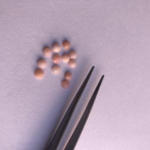 4mm naturel rose opale pierre lisse ronde Rose coupe lâche calibré Cabochons au prix d'usine de gros du fabricant Inde - Product Image 2