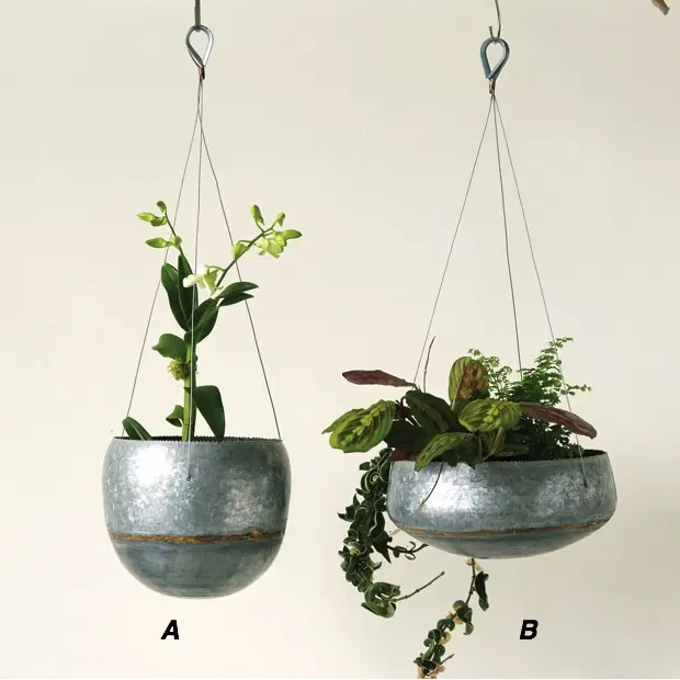 Rustic Galvanized Metal Farmhouse Funnel Hanging Planters Hanging Planter Flower Plant Pots Indoor Outdoor Balcony Pa