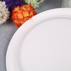 100% phân hủy sinh học có thể tái chế Bộ đồ ăn dùng một lần thức ăn nhanh 6 inch Đảng tấm pfas miễn phí - Product Image 2