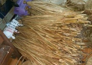 JACINTO DE AGUA SECO para la INDUSTRIA ARTESANAL - Product Image 2