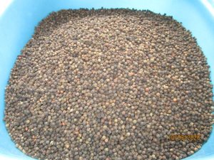 ราคาถูกพริกไทยดำคุณภาพส่งออกหนา - Product Image 6