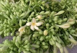 Telosma Cordata สำหรับชา - Product Image 2