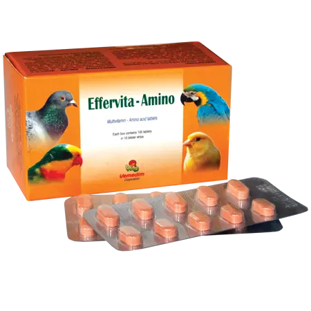 Multivitamin - Mineral - Amino Acid for Pet health Effervita - Amino