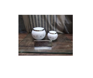Urna de cremación de mascotas, suministros funerarios de latón blanco, ODYSSEY, pata dorada - Product Image 1