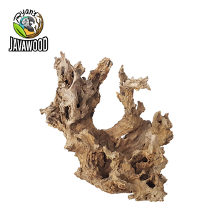 Аквариумные аксессуары для аквариума от индонезийского производителя, натуральные декоративные деревянные короны бонсай из центрального <span class=keywords><strong>Java</strong></span> - Product Image 6