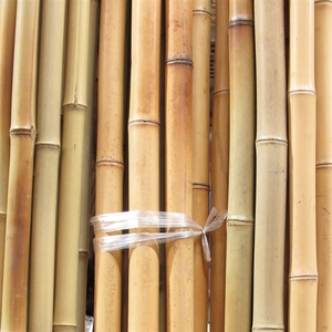 Vente en gros de poteaux en bambou 100% naturel pour l'agriculture et la construction, origine Vietnam, marque ECO2GO, durée de vie de 10 à 20 ans - Product Image 6