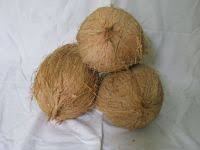 Fresh Semi husked Coconut - Product Image 2