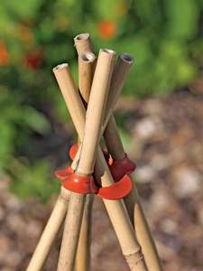 Varilla de Bambú Natural de Color Natural para Soporte de Flores de Jardín, Longitud de 50-100 cm, Fabricante Eco2go Vietnam - Product Image 5