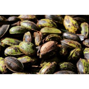 Frutos secos de Pecan de alta calidad, producto orgánico crudo, producto fresco - Product Image 2