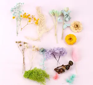 Blh atacado caixa aleatória mistura de flores seca planta para resina jóias seco pressionado flores fazendo artesanato acessórios naturais