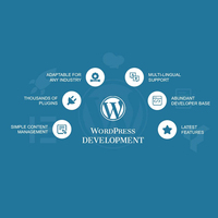 Oluşturulması özel wordpress eklenti şirketi | Protolabz eServices
