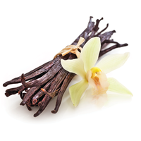 Huile Essentielle de Vanille Pure en Gros du Fabricant – Huile de Graines de Vanille Planifolia Extraite par Solvant, Bénéfiques Raffermissants et Blanchissants