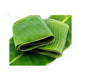 Exportación de hojas de plátano de alta calidad, gruesas y grandes, para embalaje/embalaje - Product Image 6