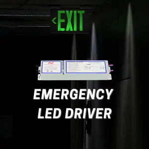 Cadangan Pencahayaan Darurat 10W dengan Driver AC 60W