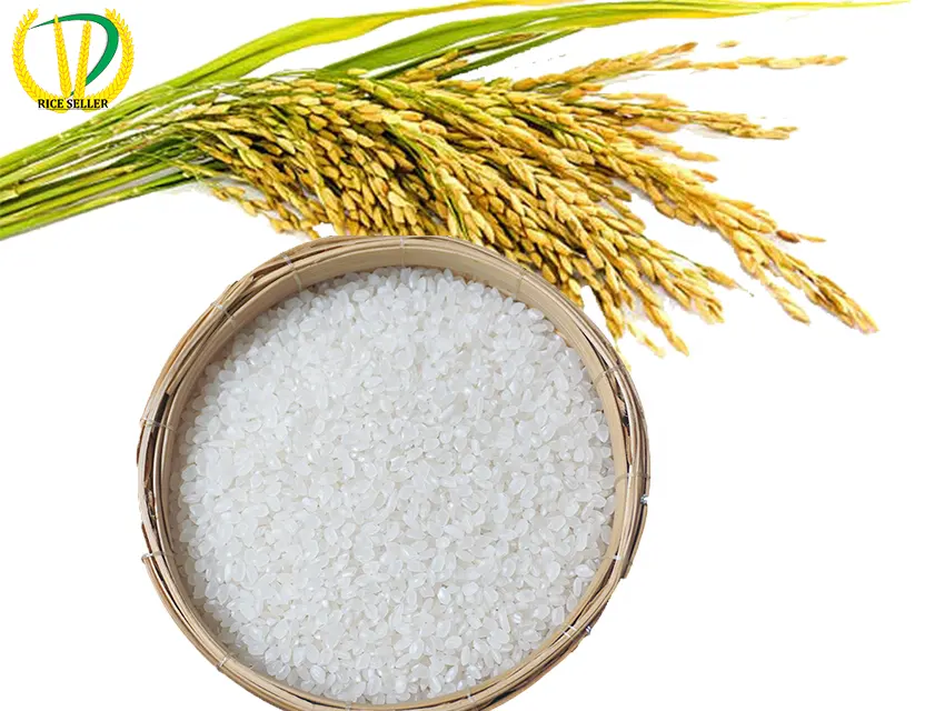 Top Quality Organic VietNam Japonica Rice/ Sushi Rice For Export