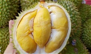 Wholesale Premium Quality Frozen Monthong Durian +84 966722357 - Product Image 3