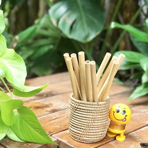 Pailles en bambou réutilisables, accessoires pour boissons, pailles naturelles pour jus, café, thé, utilisation en restaurant - Product Image 5