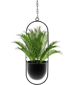 Planters for Indoor Plants, Home Decoration Hanging Flower Pot - Product Image 1