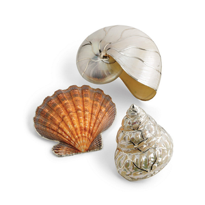 Concha de mar pequeña y grande para decoración y manualidades, 99GD - Product Image 6