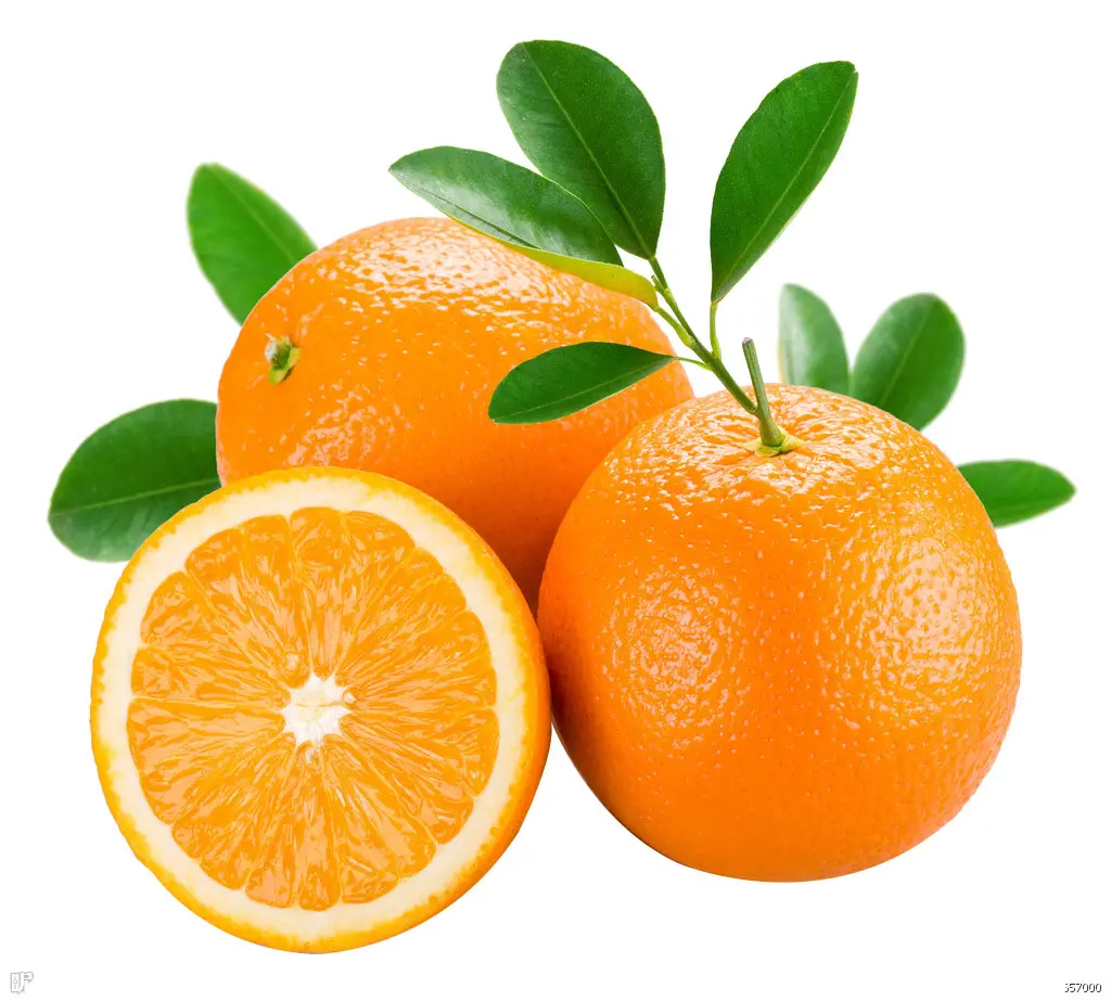 Kelas Produk Oranye Mesir Di Mesir untuk Ekspor Harga Pasar