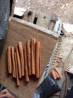 Bâtonnets de cannelle entiers sans peau Cigare vietnamien Cassia Cannelle pour le marche EU Bâtonnets de cannelle WS: 0084 989 322 607)
