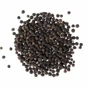 BLACK PEPPER VIETNAM SPICES BEST PRICE WITH CERTIFICATES AND GOOD QUALITY CONTROL