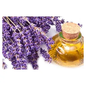 Exportador de Alta Qualidade Óleo Essencial de Lavanda, Private Label e OEM Disponível Conosco Óleo Essencial de Lavanda Natural